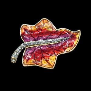 🌺Rare Bijoux Casico Brooch